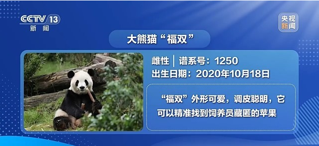 bfca1b24-02df-4fb3-bcb2-620bc5448643.png